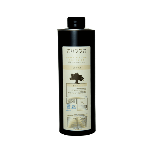 שמן זית
