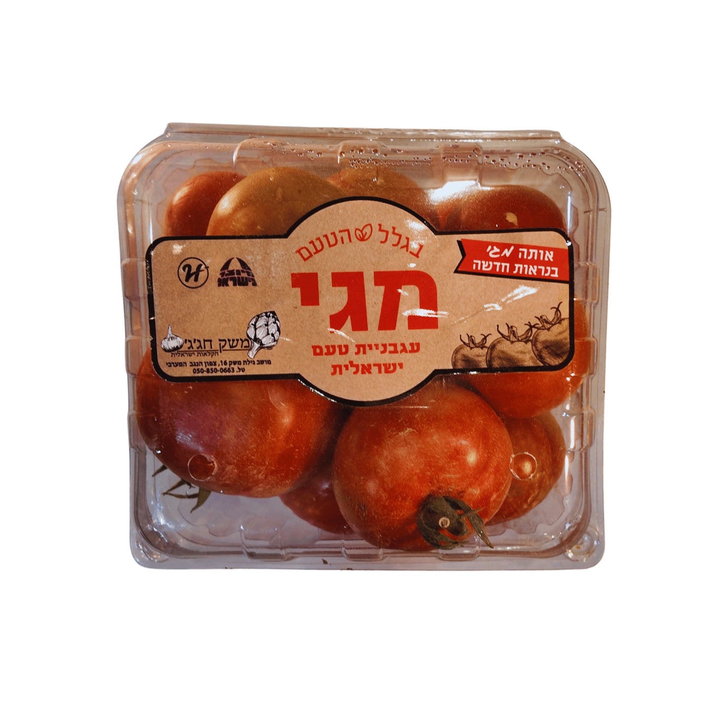 עגבניות מגי